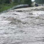 cod galben de inundatii