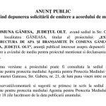 anut ganeasa