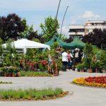 o noua editie expo flora