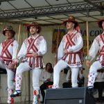 Calusarii Sprincenata 2019