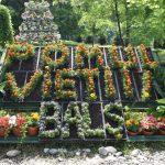 Pomul Vietii Bal