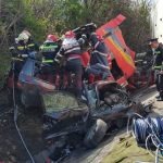 accident saru