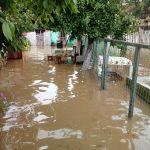 zeci de gospodarii inundate