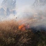 incendiu de vegetatie uscata