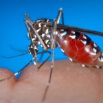 west nile