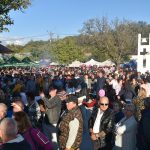 Sarbatoare Nuc Curtisoara 2019