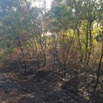 incendiu bobicesti