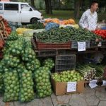 legume fructe colectate