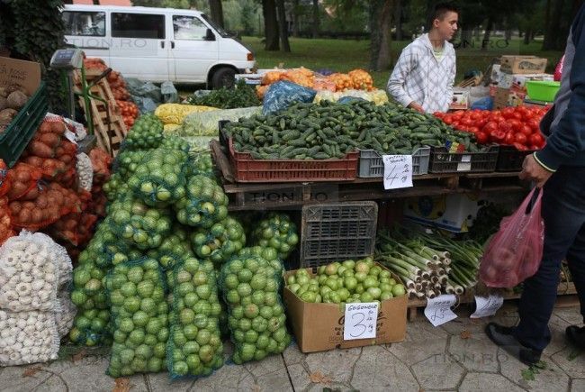 legume fructe colectate