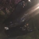 Accident rutier grav