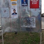 afis psd bobicesti 696x1238