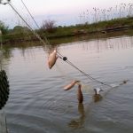 jandarmi razboi braconaj