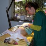 08STERILIZARI