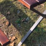 Parcul Tineretului