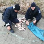 CB8A3D49 F43A 47DA 8654 8174032512DB