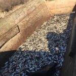 2B72D6E6 1B9C 489D 8E8B 88F6FD646A9D