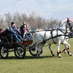 Incurat cai SN Toader Brancoveni 2020