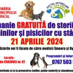 O nouă campanie de sterilizare a animalelor de companie, la Caracal